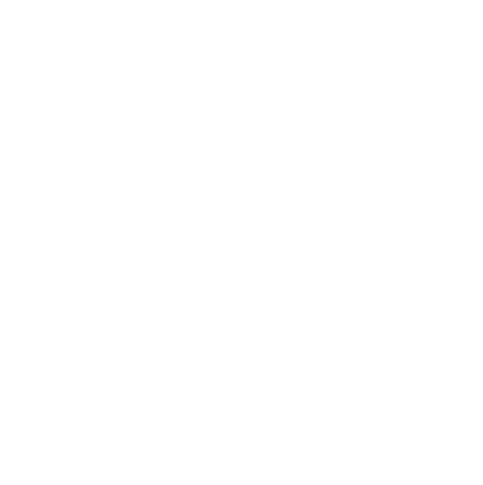 Essilor logo